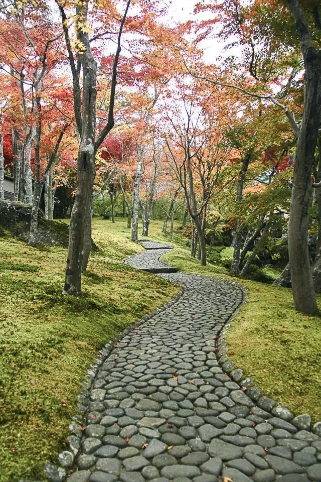 日本關東紅葉一期一會 年底賞高尾山紅葉 箱根紅葉 河口湖紅葉 天天快报