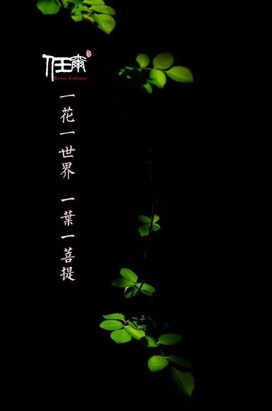 一花一世界 一叶一菩提 看点快报