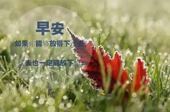早安致自己的说说,很暖很贴心,深得人心!