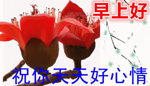 4月30日周二清晨早上好问候祝福动态表情图片 最新早上好祝福问候短信