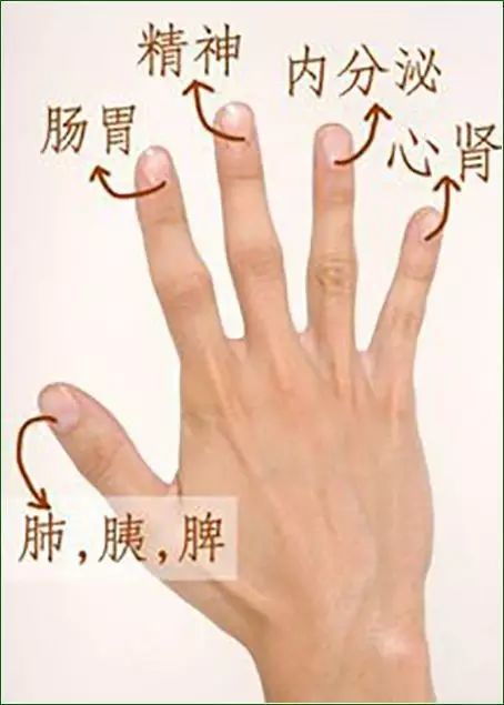 我们常说"十指连心",其实我们两个手掌,每个手掌五个手指头与五脏