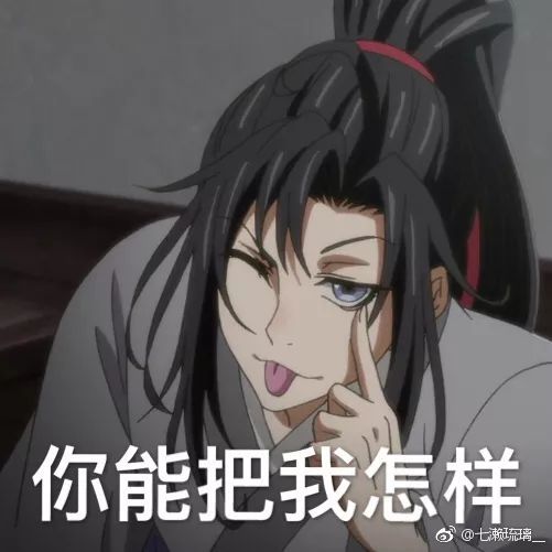 魔道祖师表情包:此生不悔入魔道,来世共饮天子笑