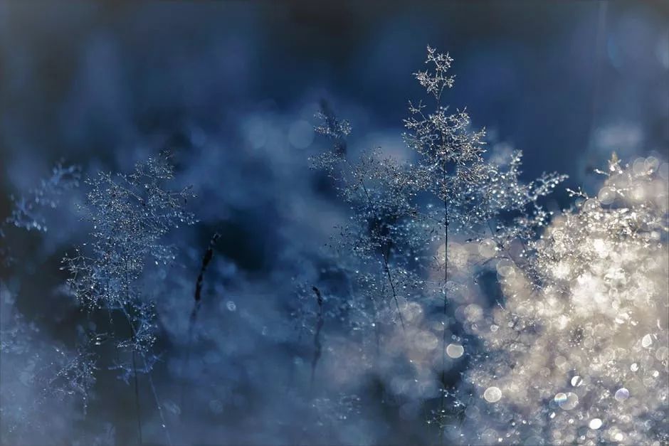寒气所薄,凝而为雪