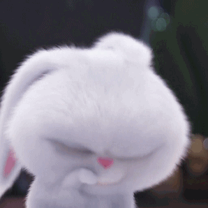 爱宠大机密表情包,毛绒兔子