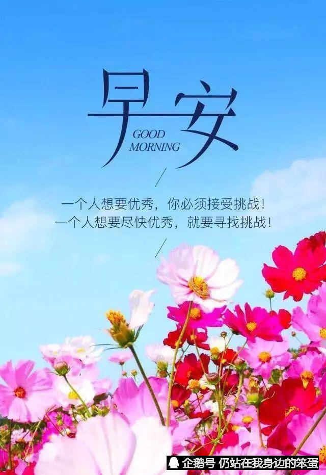 早安,把我最美好的祝福送给你!