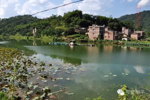 图为昭平县马江镇礼仪冲口(变电站)俯视进村道路风景