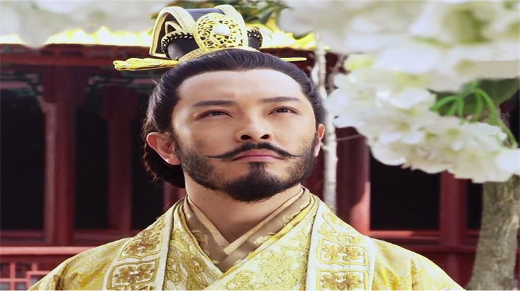 《隋唐演义》原著中,称杨坚生下后:"目如曙星,手有奇文,俨成王字."