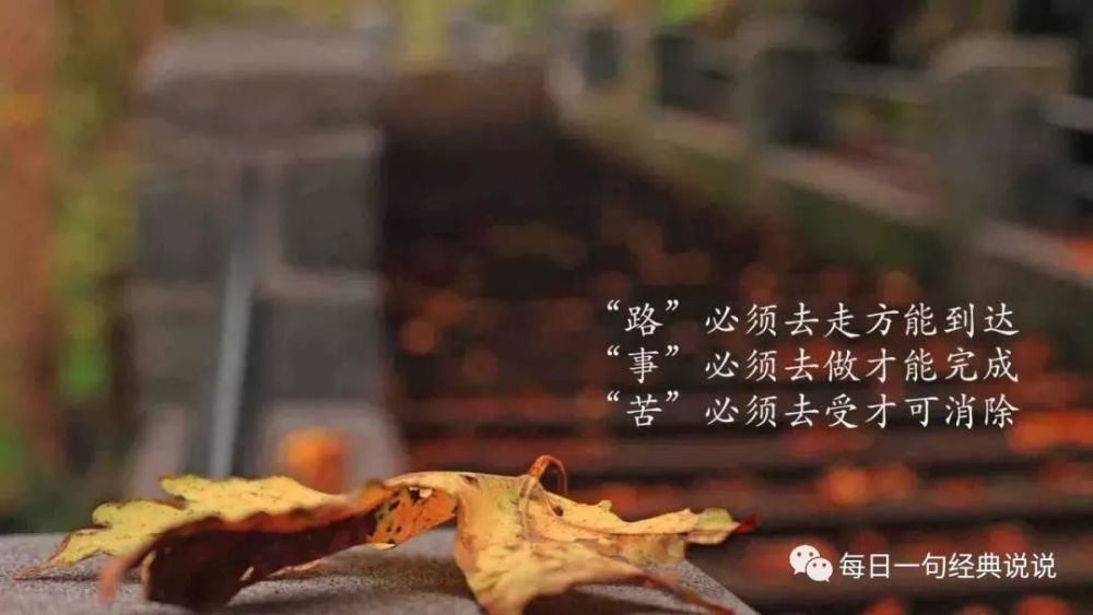微信最走心的句子,痛到骨里心碎的句子,句句虐心!