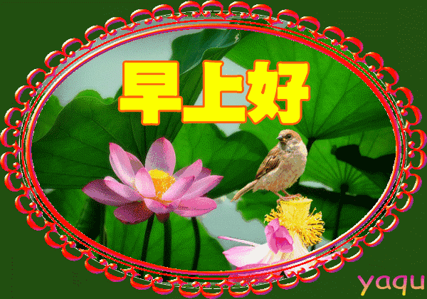 3月23日特漂亮的早上好带字早安祝福图片,早上好问候祝福语唯美动态