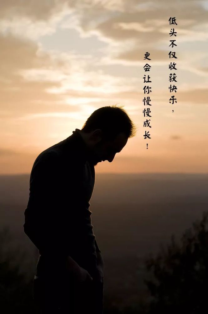懂得低头是一种睿智