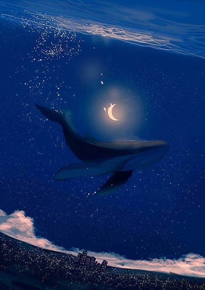 壁纸,鲸鱼,蓝色,大海,唯美梦幻