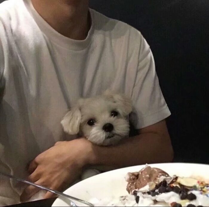 犬系男友·霸道总裁属性·头像"天冷了,有什么事来我被窝里说"