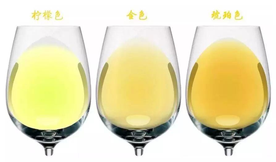 教你看红酒颜色,就知道红酒年份