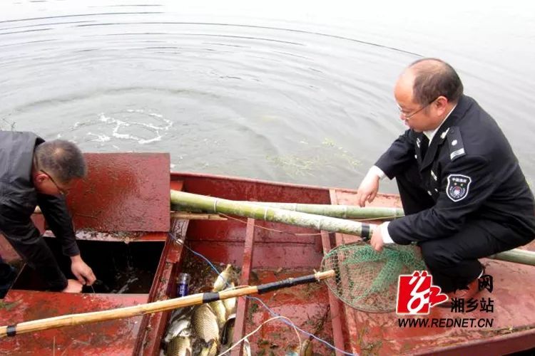 山枣镇万贯村地带有人非法电捕鱼,湘乡警方:行政拘留!