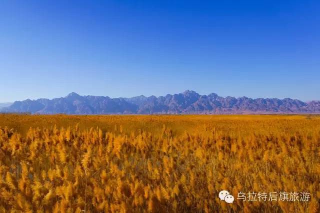 金秋十月,去寻觅乌拉特后旗的秋色吧!