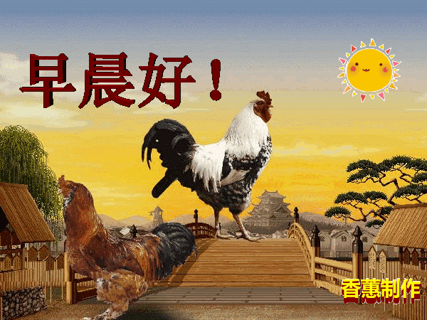 11月3日漂亮的周三早上好动态表情图片 微信朋友圈群发周三早安祝福语