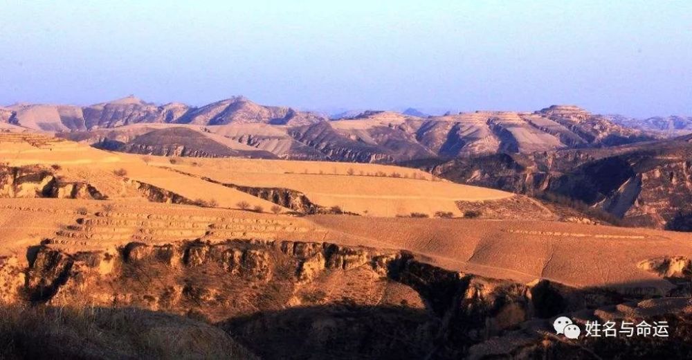 天干戊土,地支戌土,是个纯粹的土年,戊,戌本身代表的就是两座大山