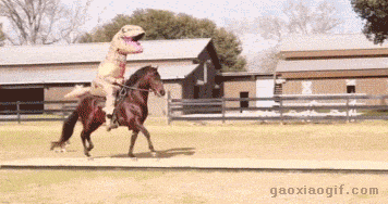 老板快来我给你驮回来了一个恐龙