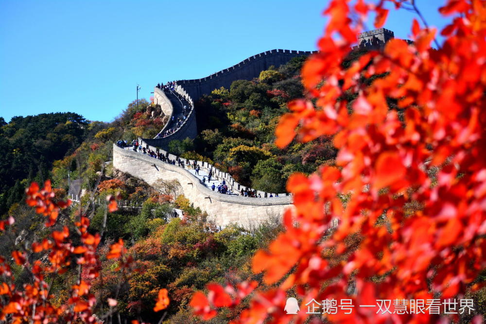 长城,红叶,八达岭长城