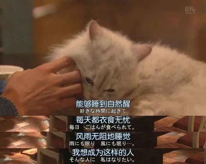 虽然每天累得要死,但你依然期待" 能够睡到自然醒,每天都衣食无忧