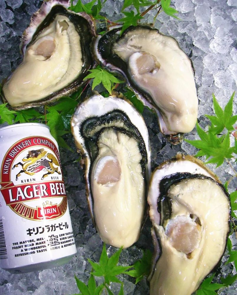 人类为了满足口腹之欲 竟然把生蚝搞成了不孕不育 看点快报