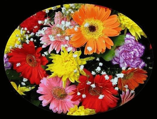 最新漂亮周末愉快动态表情图片 周末早安问候语温馨一句话