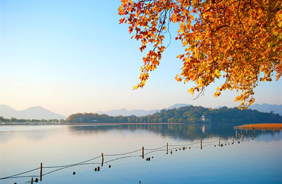 西湖秋季美景