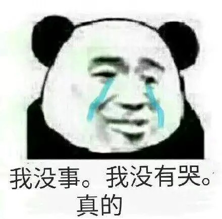 搞笑可爱的熊猫头表情包,我开心就好,我才不管你