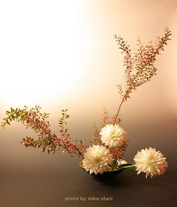 以日本传统花材为主, 菊花,蝎尾蕉,「丹顶疯狂豆」葱花,梅花