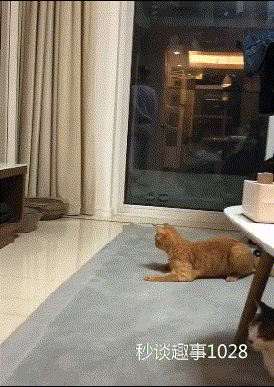 搞笑gif:这就是女生,因为这点事就把我删了