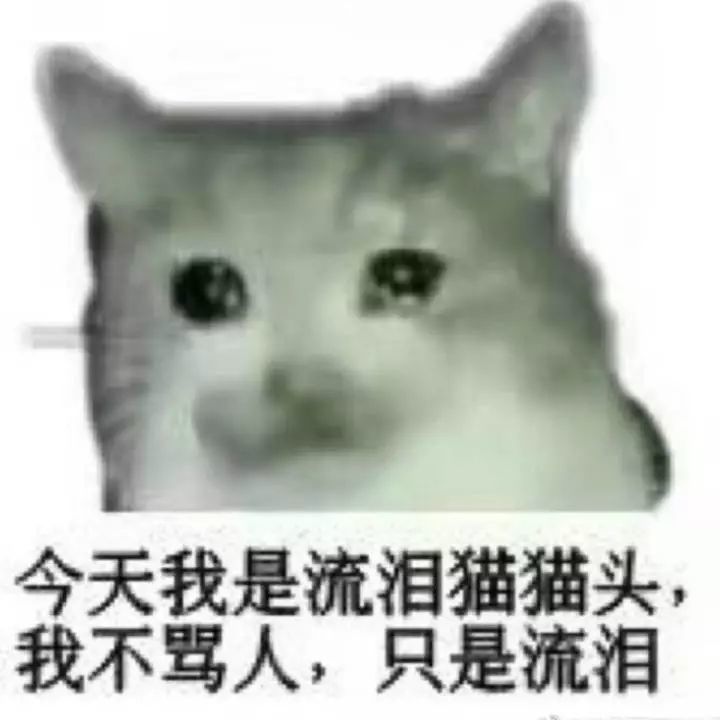 流泪猫狗表情包