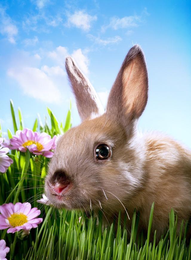 2018激励工作正能量的句子,简短精辟,热血男儿