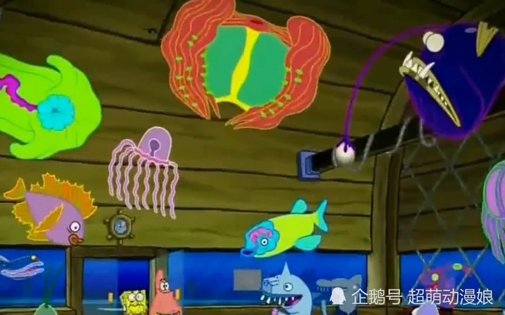 派大星,日本漫画,搞笑漫画,动漫,漫画