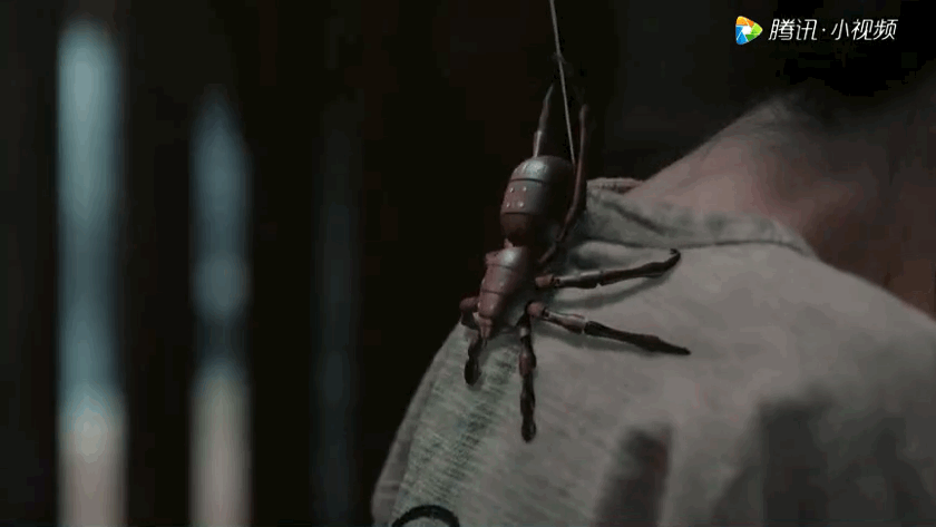 可以捉人近身的木蜘蛛