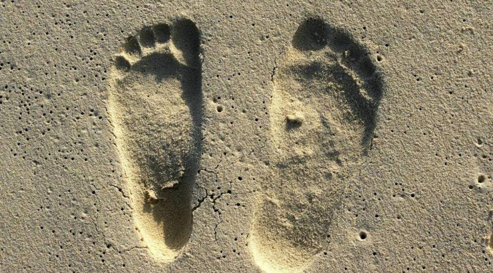 来自两亿年前的大脚印,它是人类的脚印吗