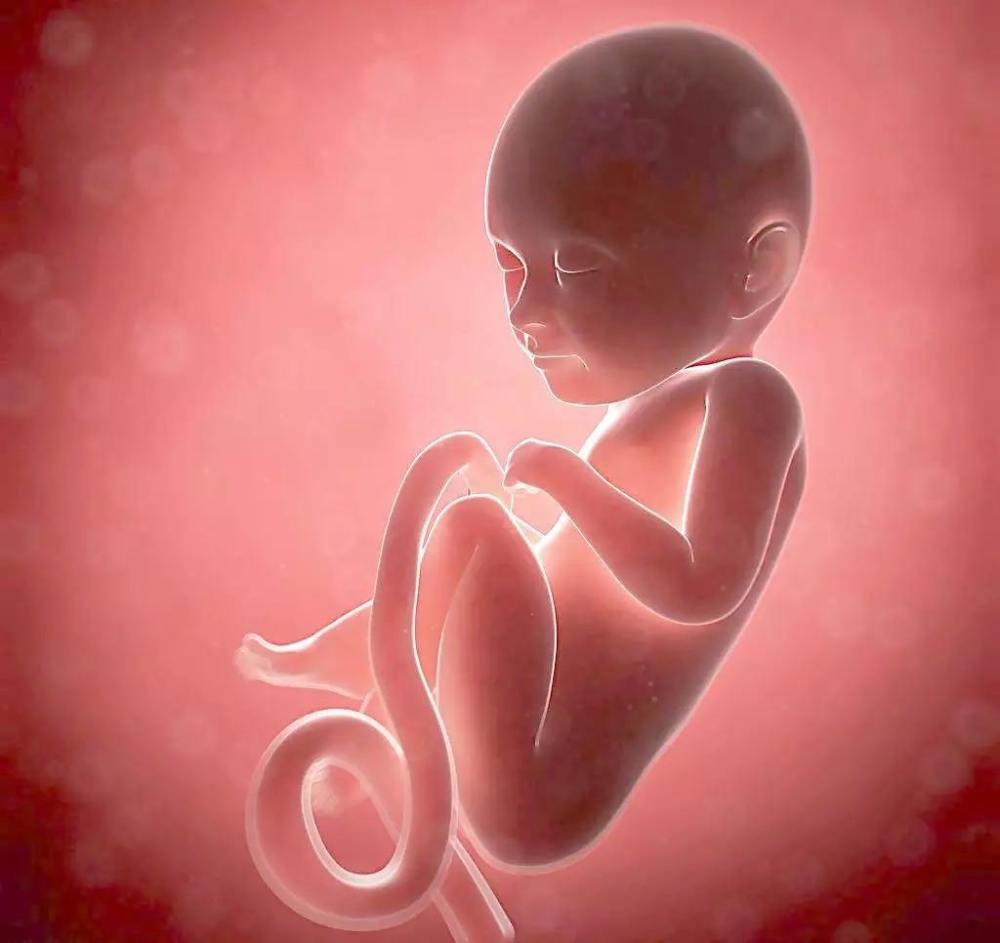 怀孕30周,胎儿已经7个半月了,胎儿在肚子里位置让人好奇