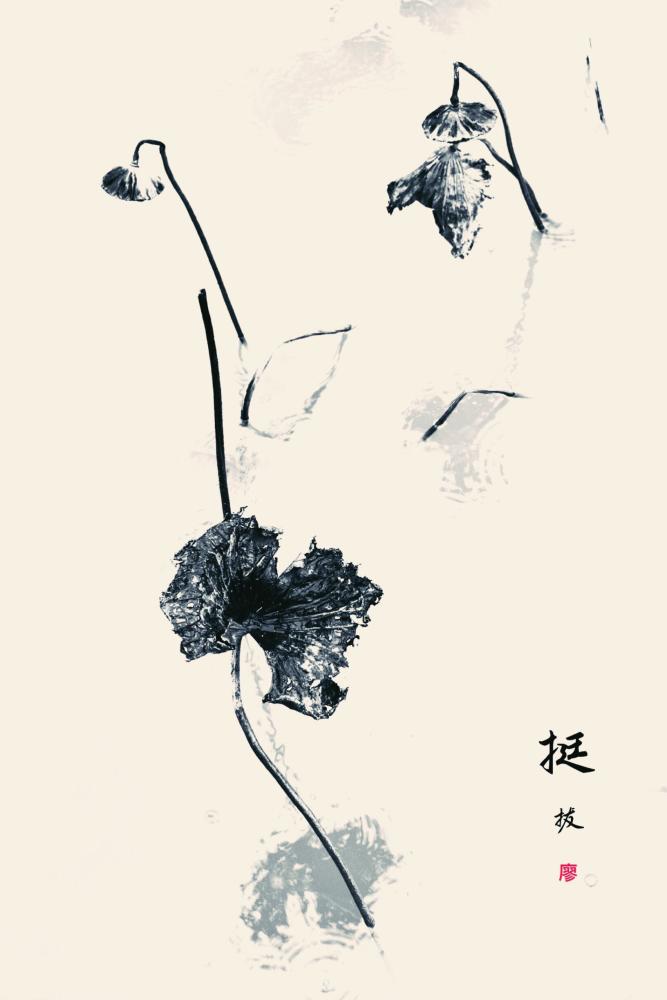 水墨残荷