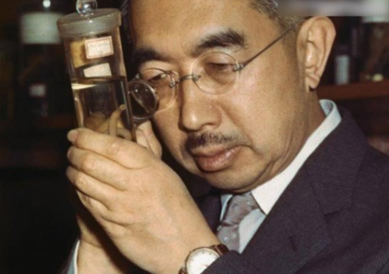 二战结束后,日本天皇为何没有实权?麦克阿瑟只