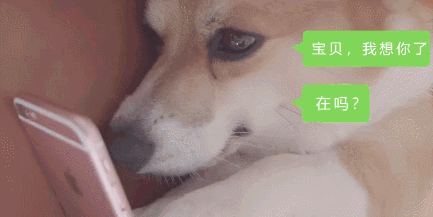 既然舔狗最后一无所有,为什么还是要当个舔狗