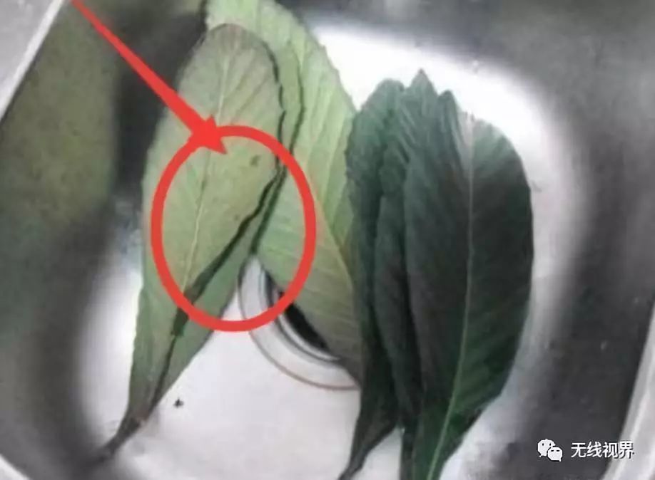 万能止咳王,只吃一口,咳嗽立马消!对小孩太管