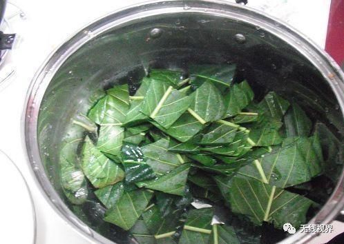 万能止咳王,只吃一口,咳嗽立马消!对小孩太管