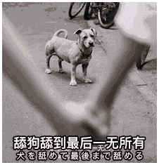 舔狗的五大特征中了超过一半你就是卑微的舔狗