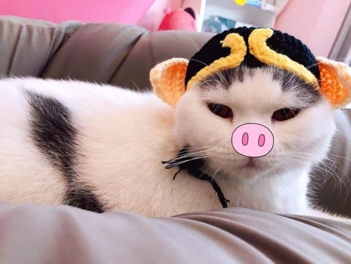 儿子被警告,粉丝:别蹭tin宝热度-天天快报