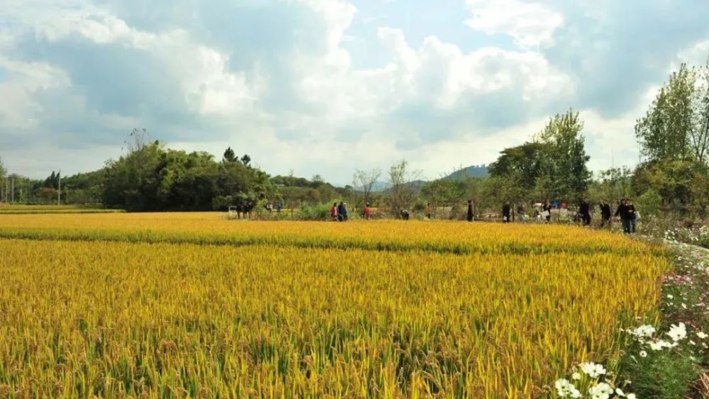 特色田园乡村