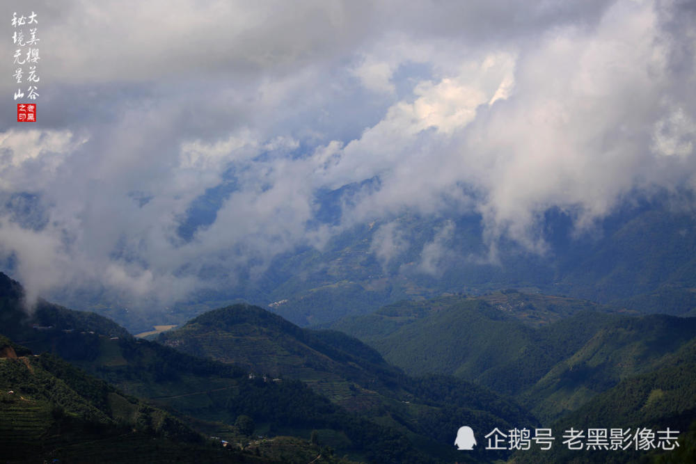 金庸先生《天龙八部》中的无量山,还有这样的美食,错过就可惜了