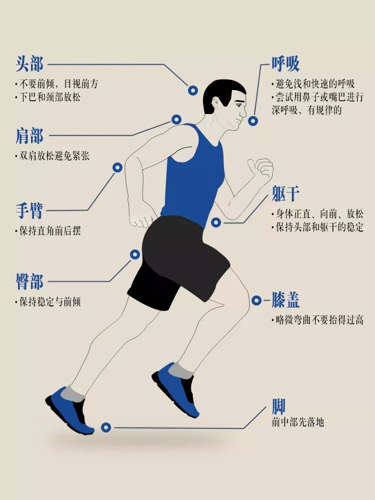 正确的跑步姿势才能达到锻炼健身的目的,也是预防损伤的前提.