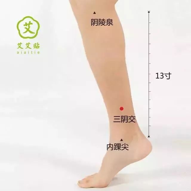 艾灸,中医,湿气,皮肤病,湿热