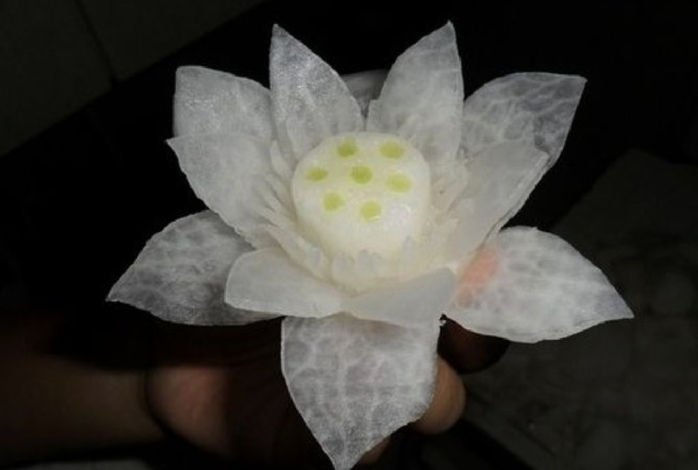 中国大厨在韩国综艺里秀刀工,一个萝卜引起全