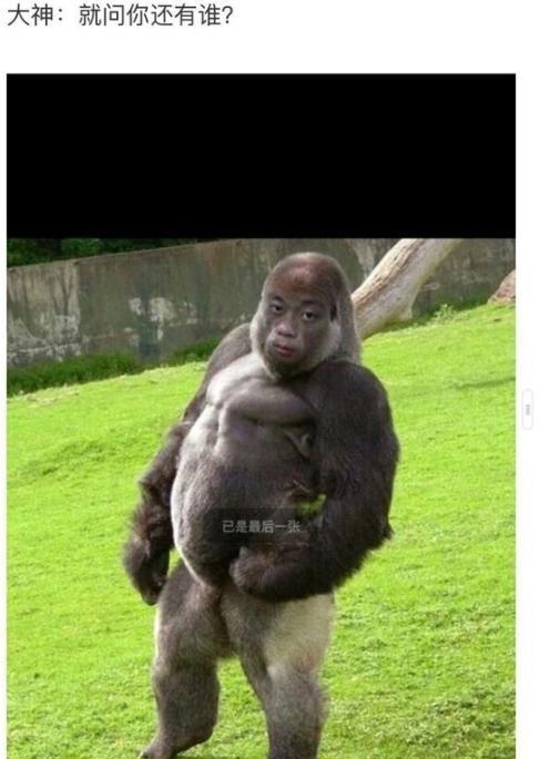 ps恶搞系列:同学老说我瘦,麻烦大神把我p壮一点,网友