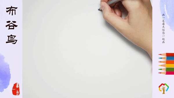 彩铅画:画画识动物,布谷鸟